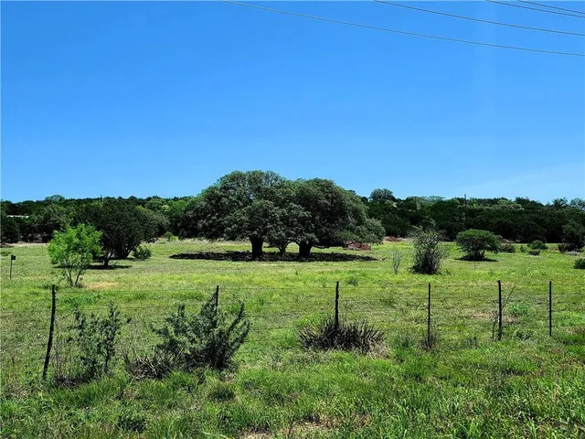 a view of a grassy field with trees in the background