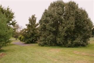 414 Ballard Road Berea, KY 40403 - Photo 7 of 25 Photo 7