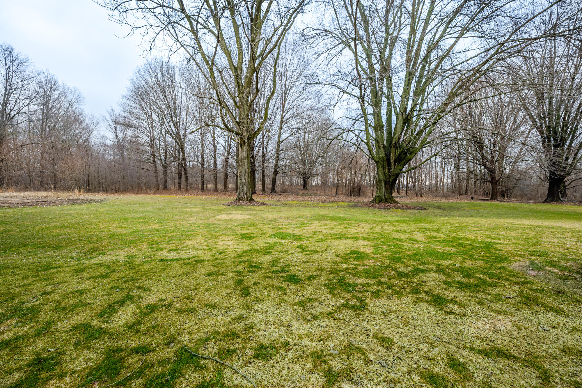 11545 Landon Road Baroda, MI 49101 - Photo 30 of 35 Landon-142