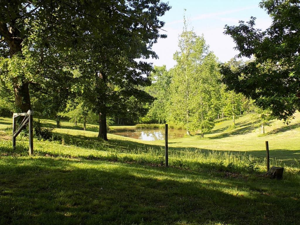 494 Summit Hill Road Bulls Gap, TN 37711 - Photo 12 of 32 Photo 12