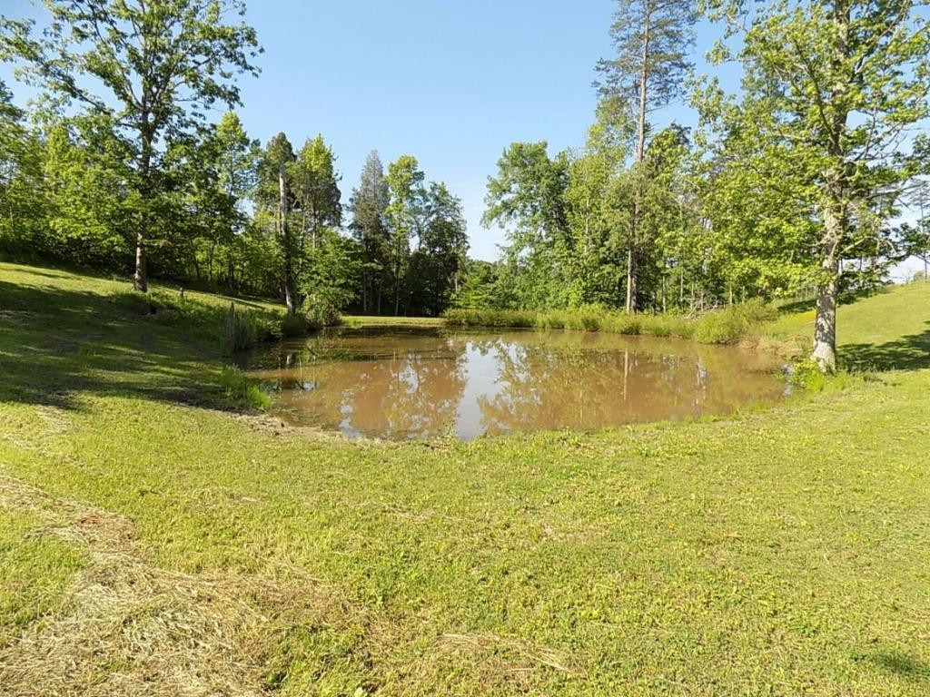 494 Summit Hill Road Bulls Gap, TN 37711 - Photo 13 of 32 Photo 13