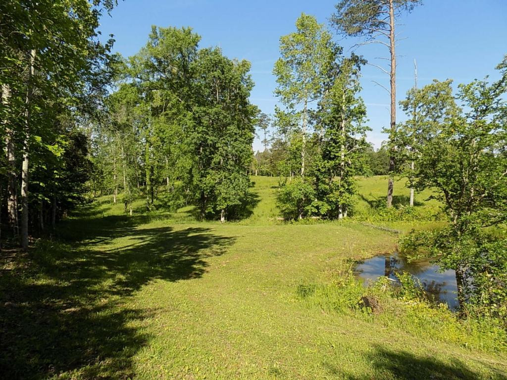 494 Summit Hill Road Bulls Gap, TN 37711 - Photo 15 of 32 Photo 15