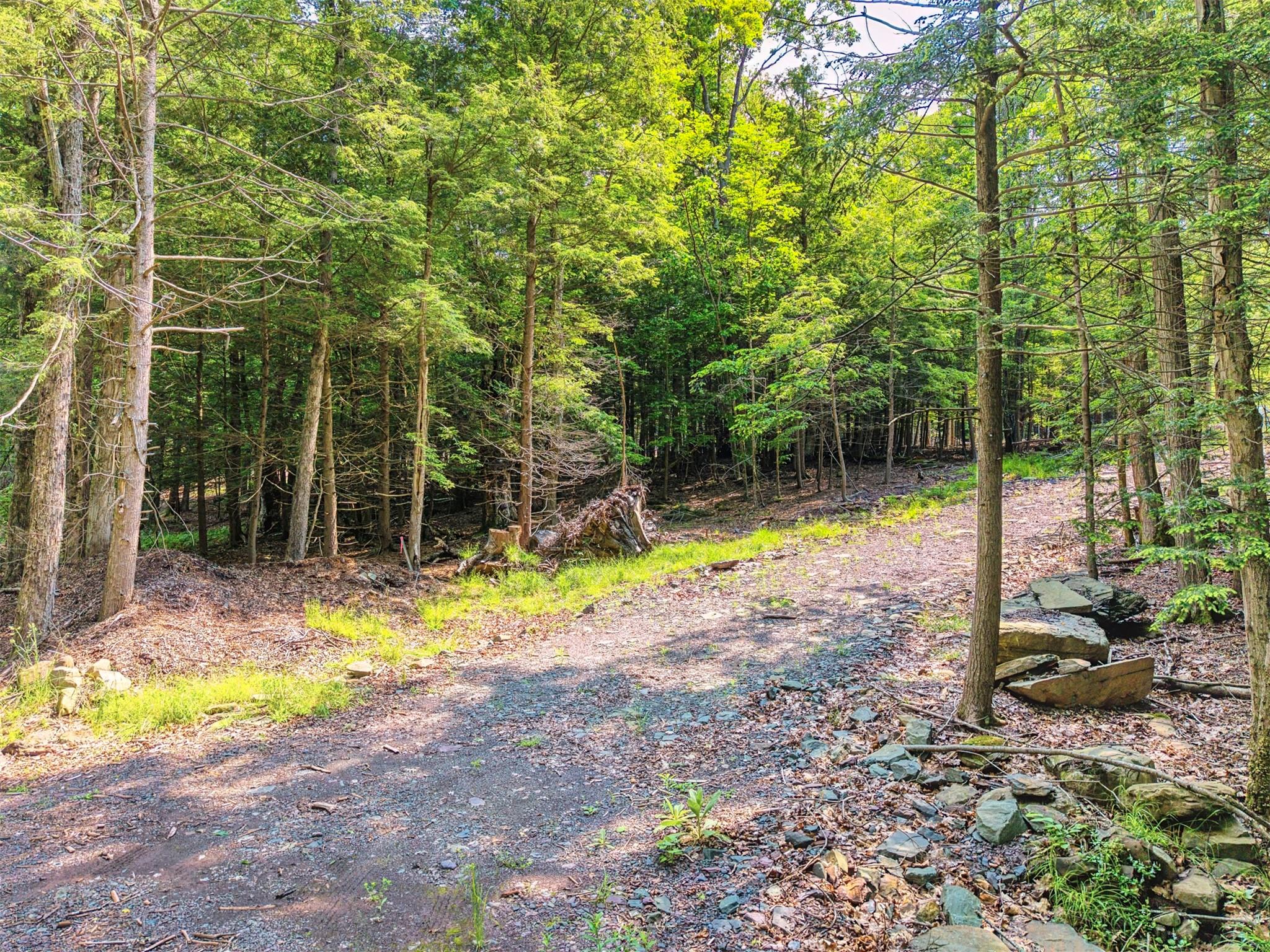 Tbd Boulder Brook Road Windham, NY 12496 - Photo 31 of 37 View of road with a view of trees