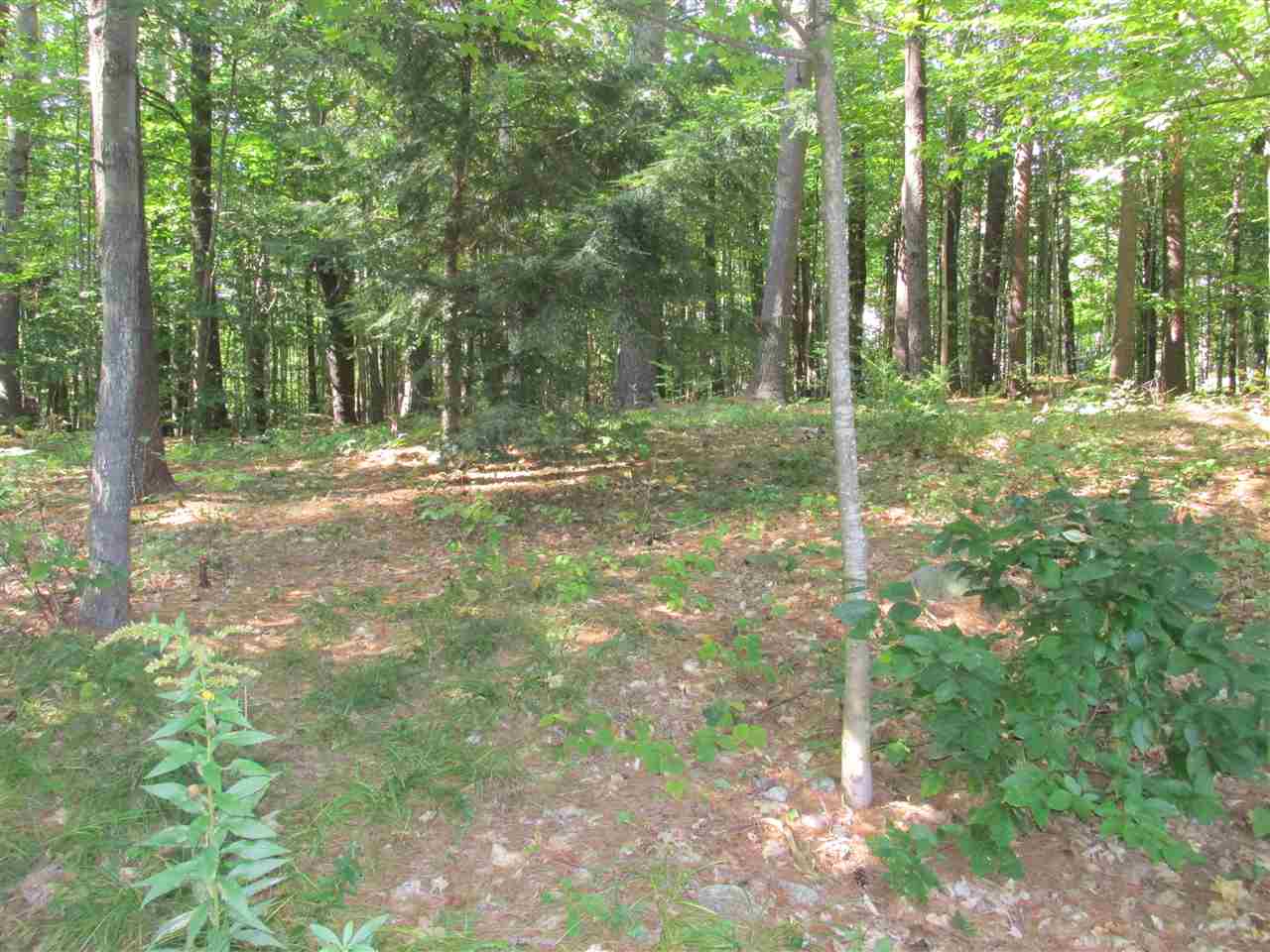 28 Hunter Farm Road Peterborough, NH 03458 - Photo 28 of 30