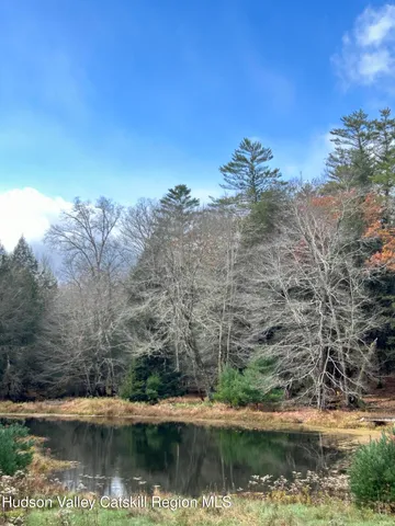 a view of lake and mountain
