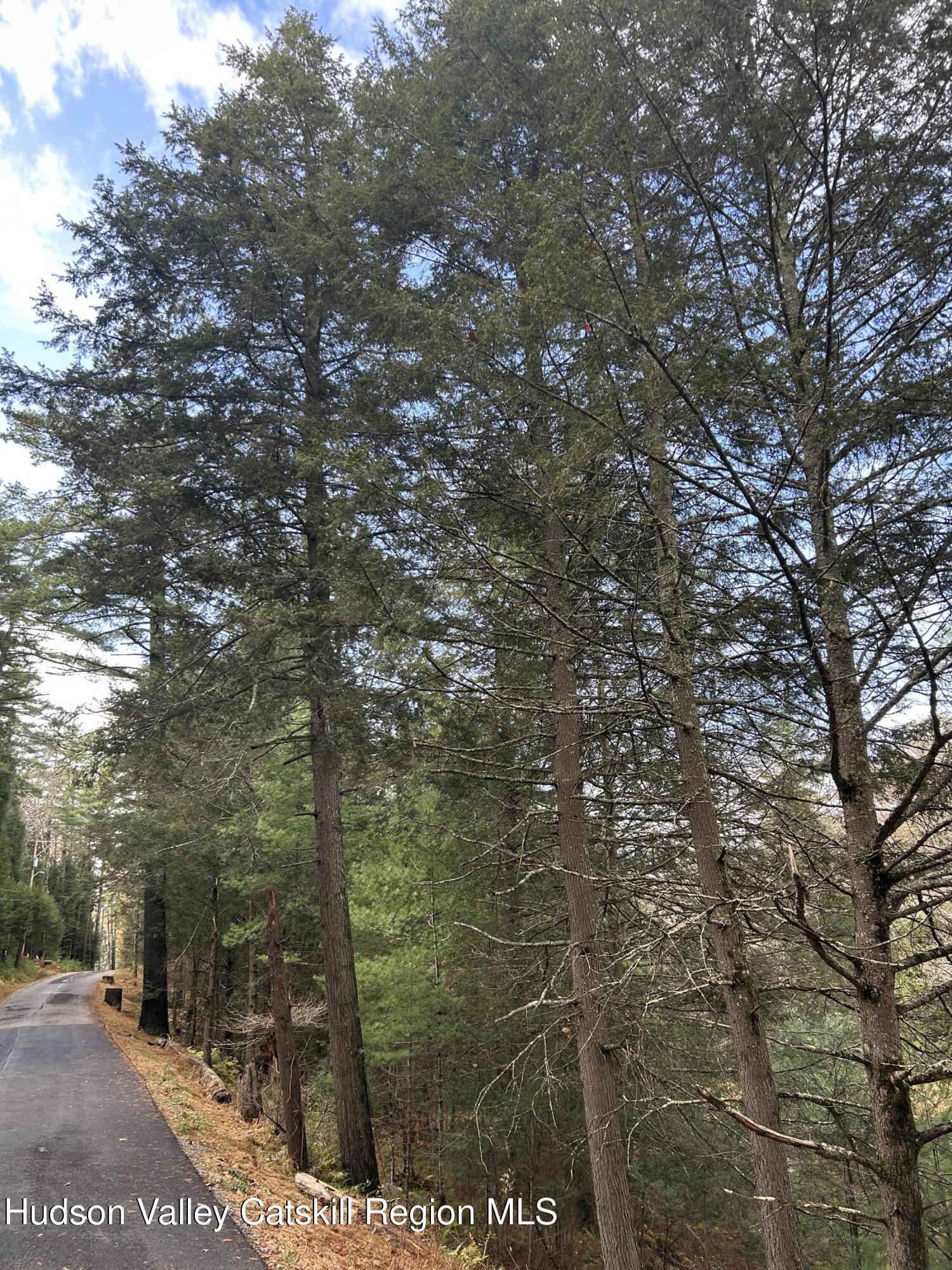 239 Sundale Road Accord, NY 12404 - Photo 13 of 27 a view of a yard