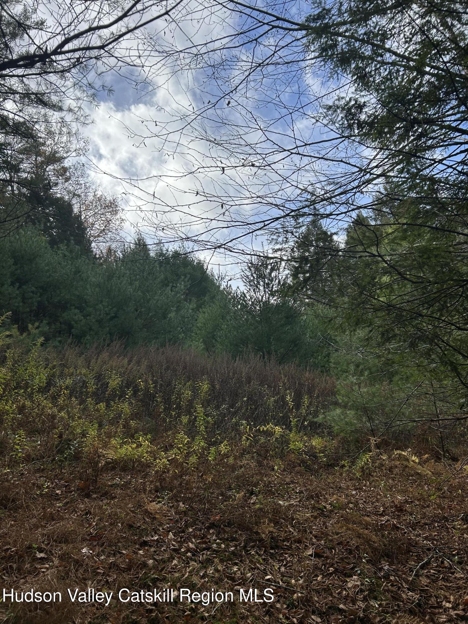 239 Sundale Road Accord, NY 12404 - Photo 15 of 27 a view of a yard