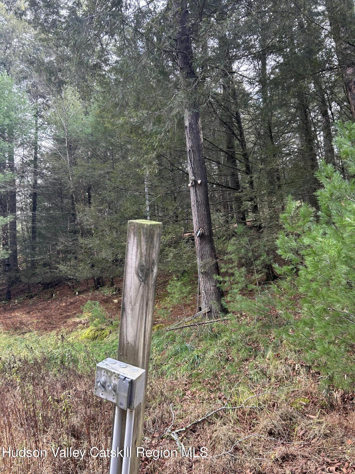 239 Sundale Road Accord, NY 12404 - Photo 16 of 27 a backyard of a house with lots of green space