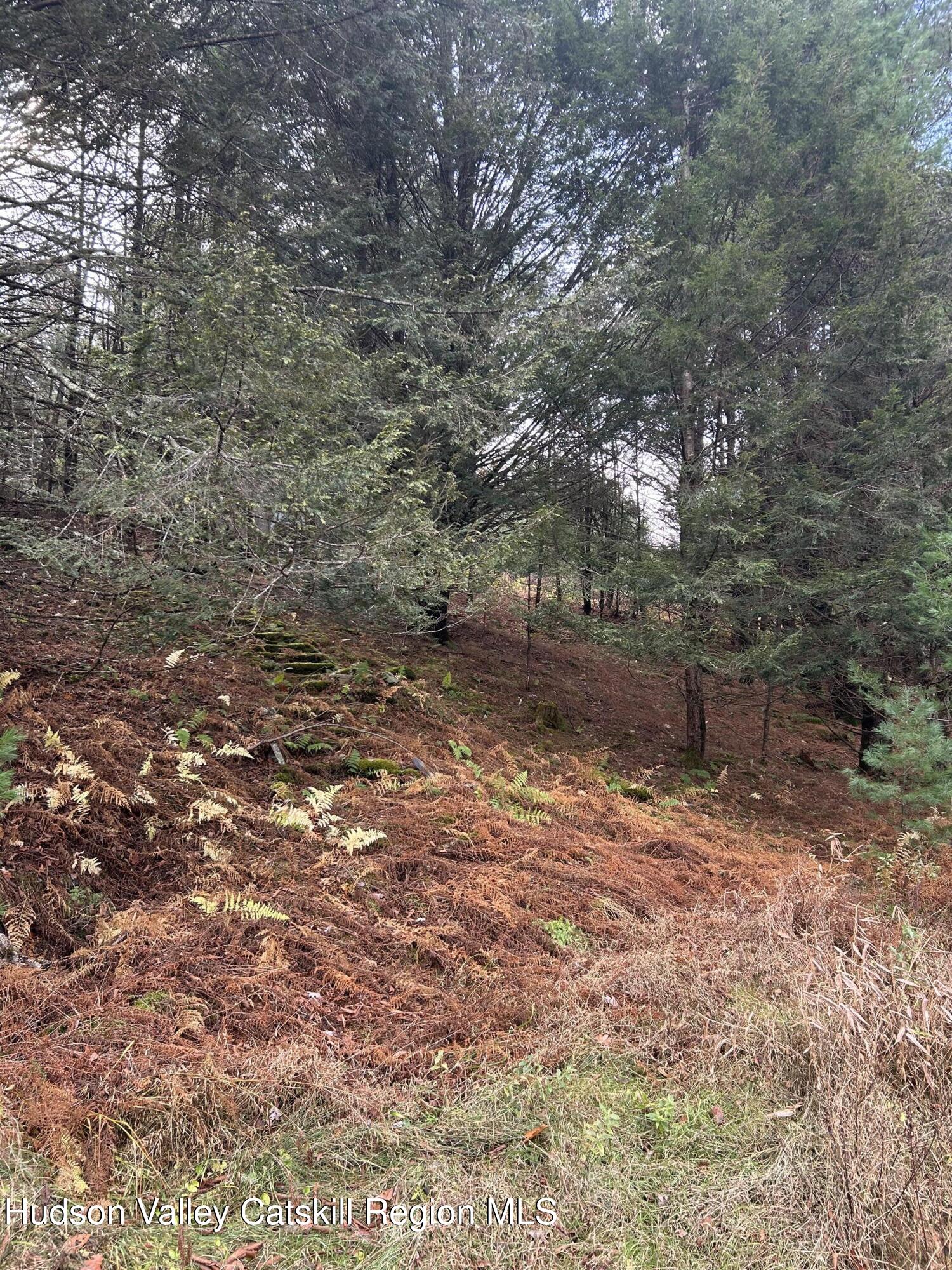 239 Sundale Road Accord, NY 12404 - Photo 17 of 27 a view of a yard with a tree