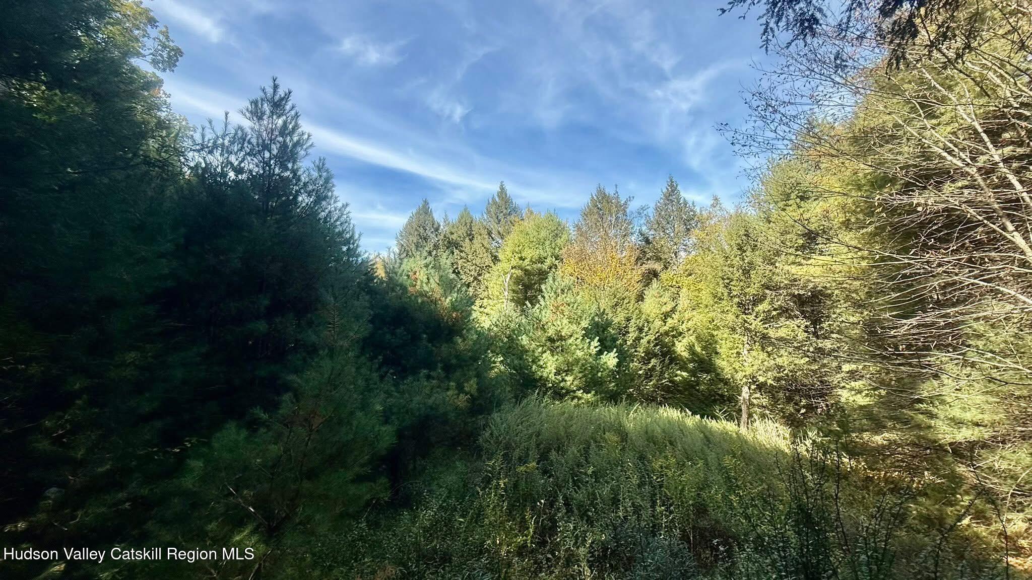 239 Sundale Road Accord, NY 12404 - Photo 24 of 27 a view of a garden