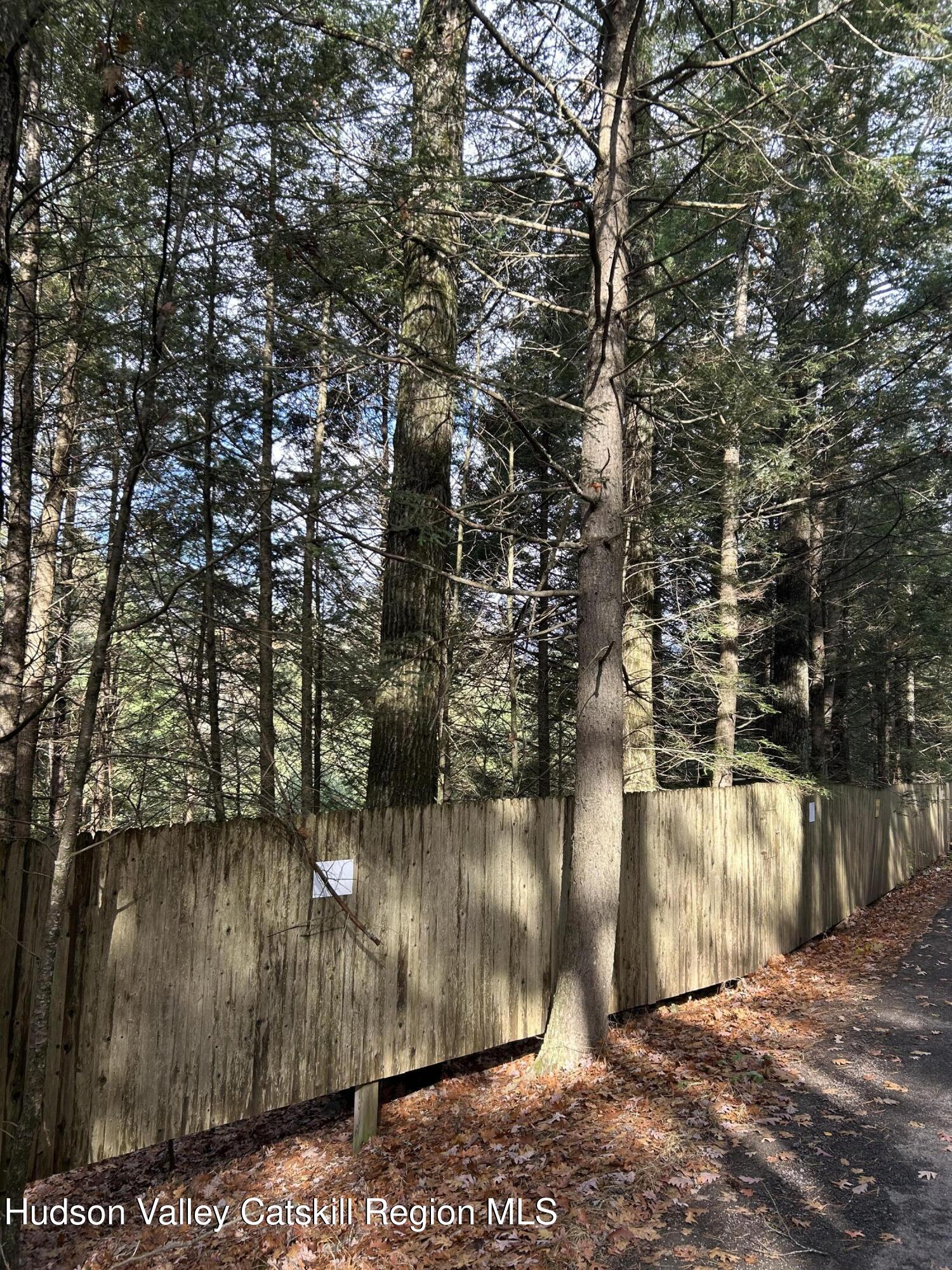 239 Sundale Road Accord, NY 12404 - Photo 25 of 27 a view of a yard