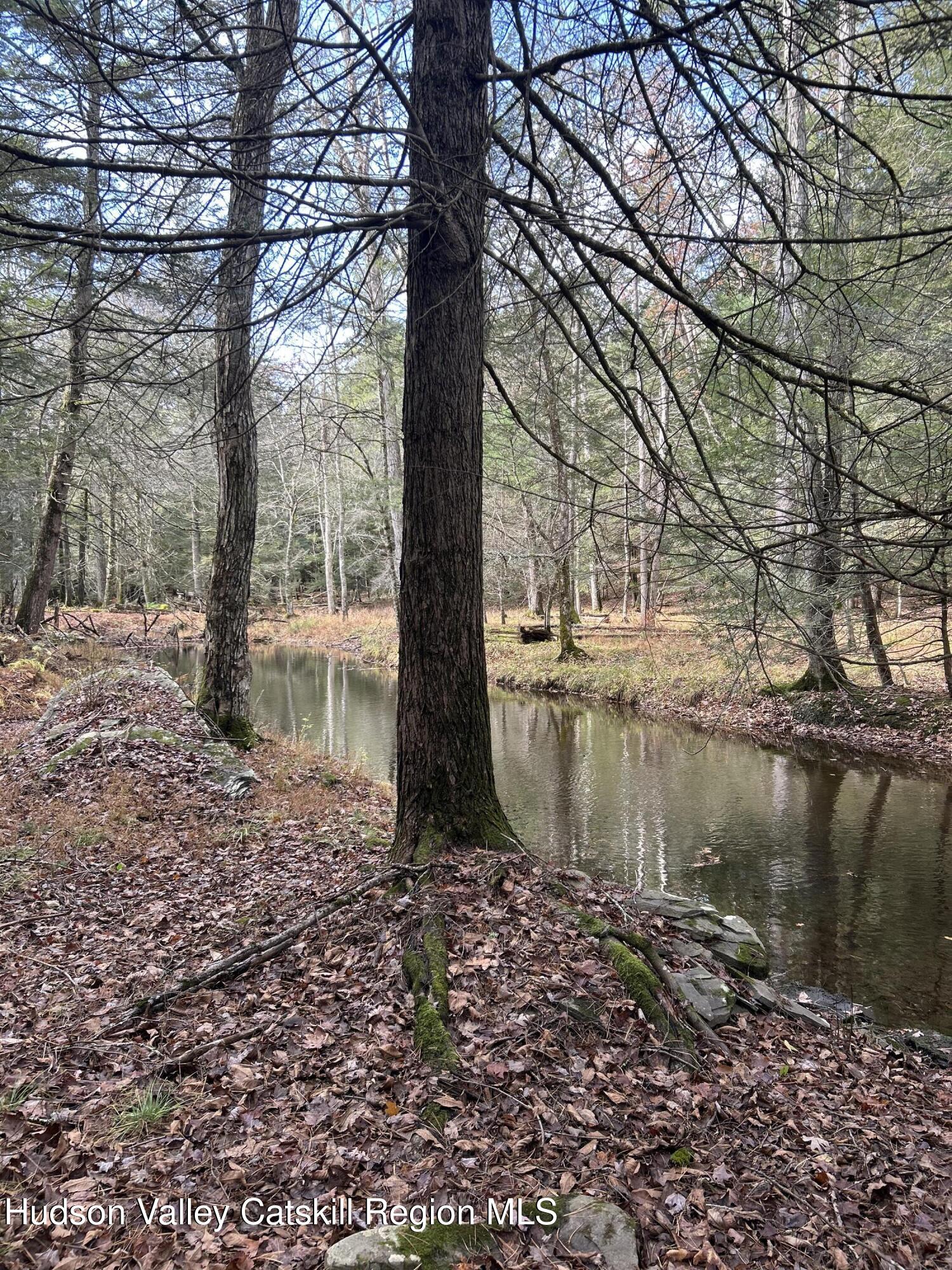 239 Sundale Road Accord, NY 12404 - Photo 3 of 27 a backyard of a house with a lake view