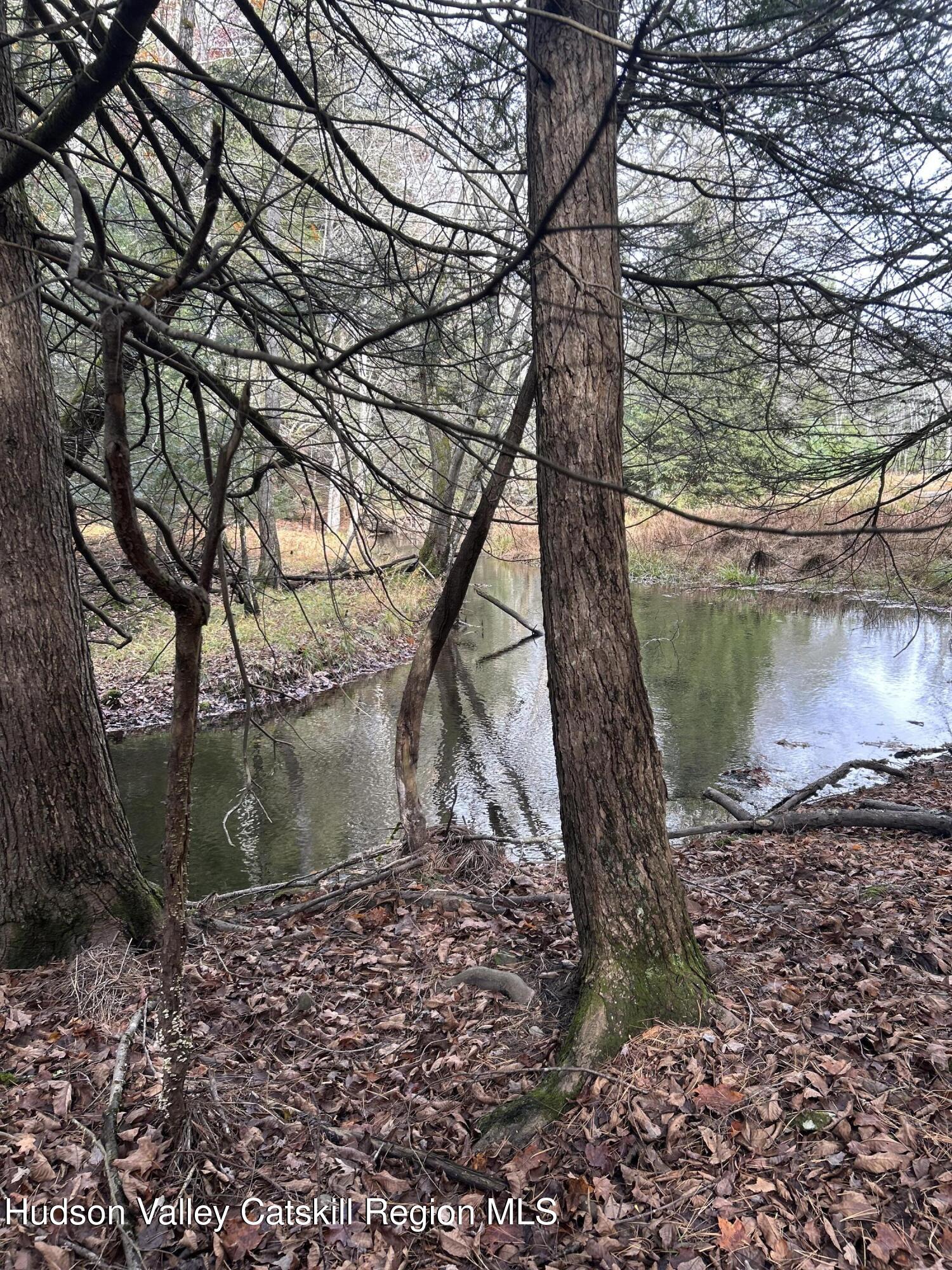 239 Sundale Road Accord, NY 12404 - Photo 5 of 27 a view of a trees in a yard