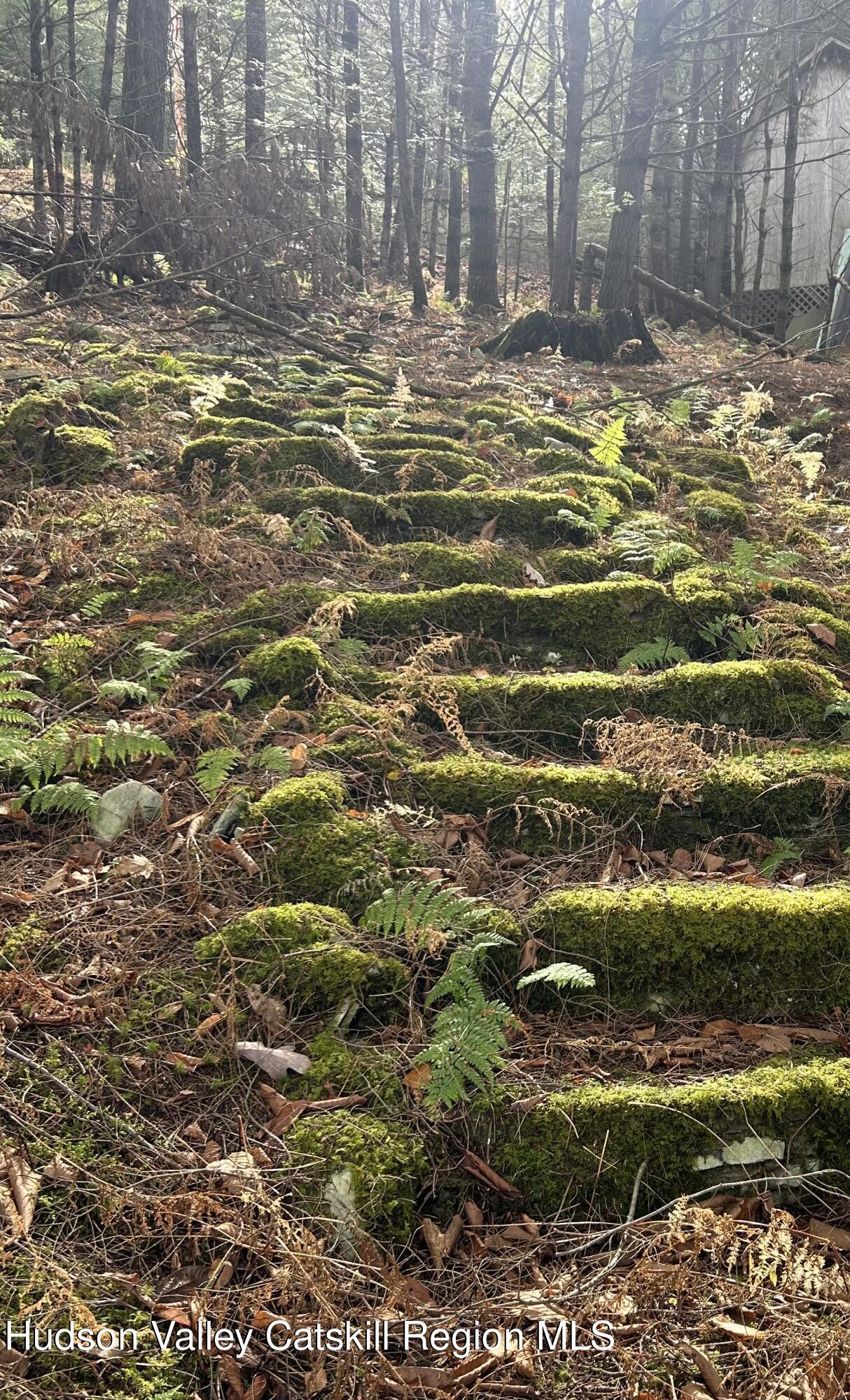 239 Sundale Road Accord, NY 12404 - Photo 6 of 27 a view of a water with an outdoor space