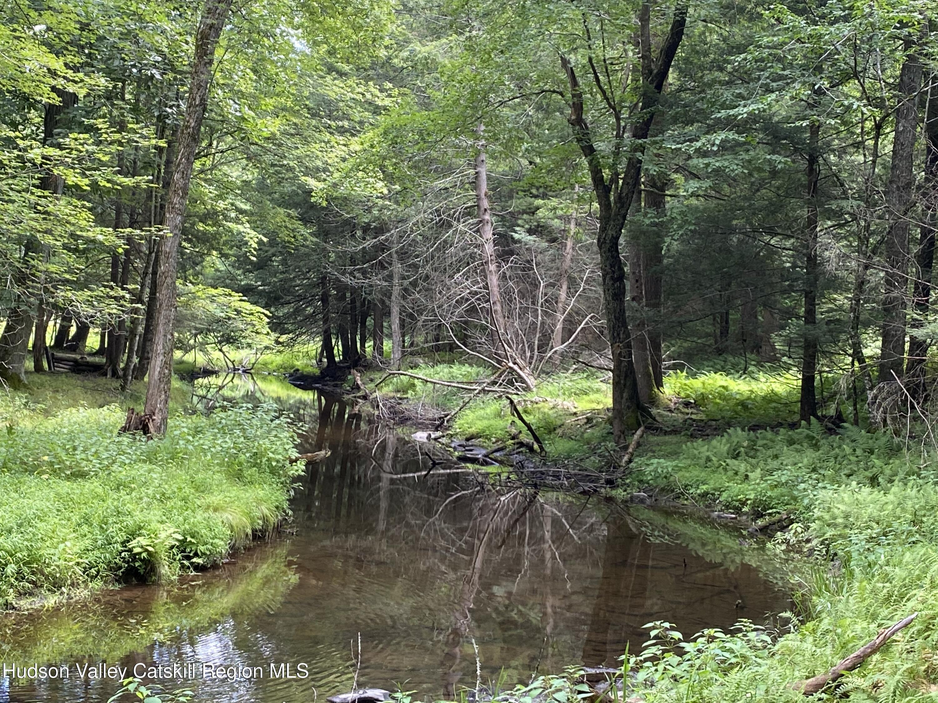239 Sundale Road Accord, NY 12404 - Photo 6 of 27 a backyard of a house with a yard and outdoor seating