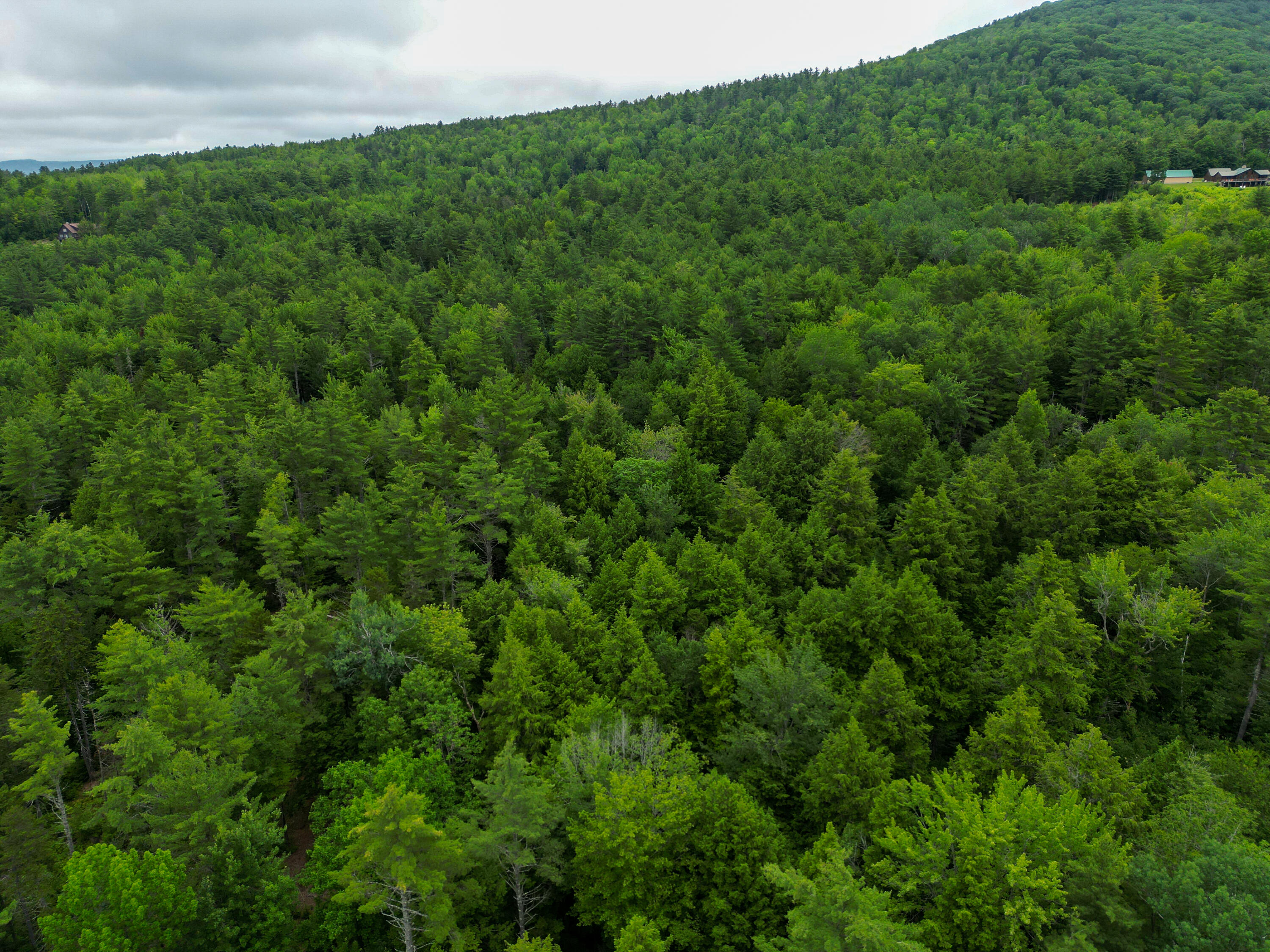 Lot 30 Irish Neighborhood Road Bethel, ME 04217 - Photo 7 of 24 DJI_0612