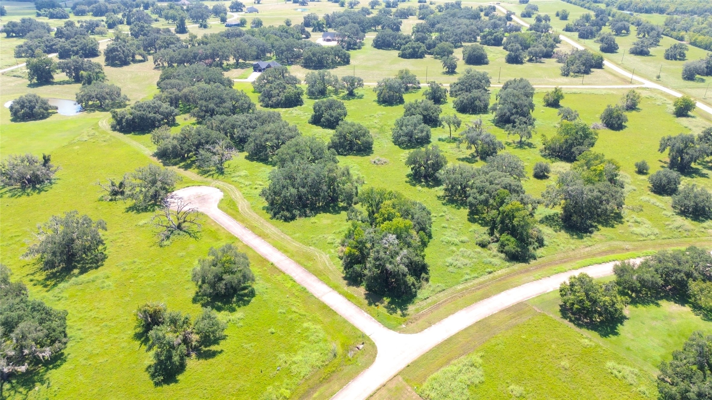 0 Old Henry Court Angleton, TX 77515 - Photo 4 of 10 a view of a garden