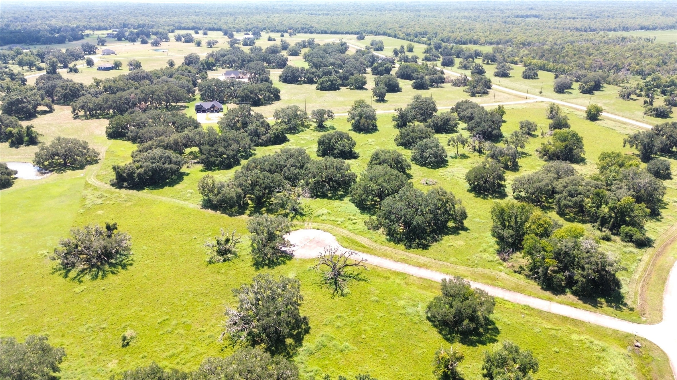 0 Old Henry Court Angleton, TX 77515 - Photo 6 of 10 a view of a lake