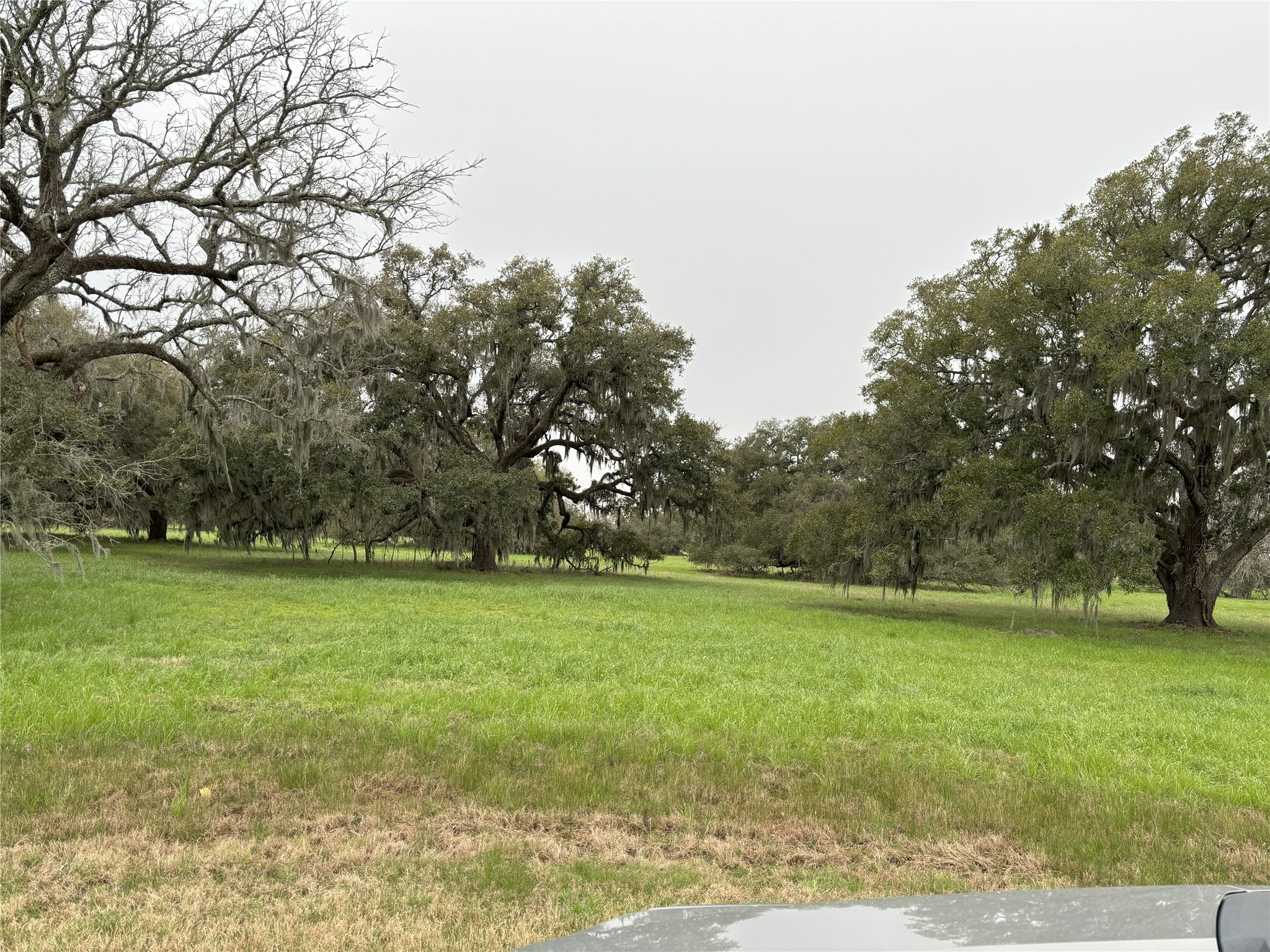 0 Old Henry Court Angleton, TX 77515 - Photo 8 of 10 a view of a field with trees in the background