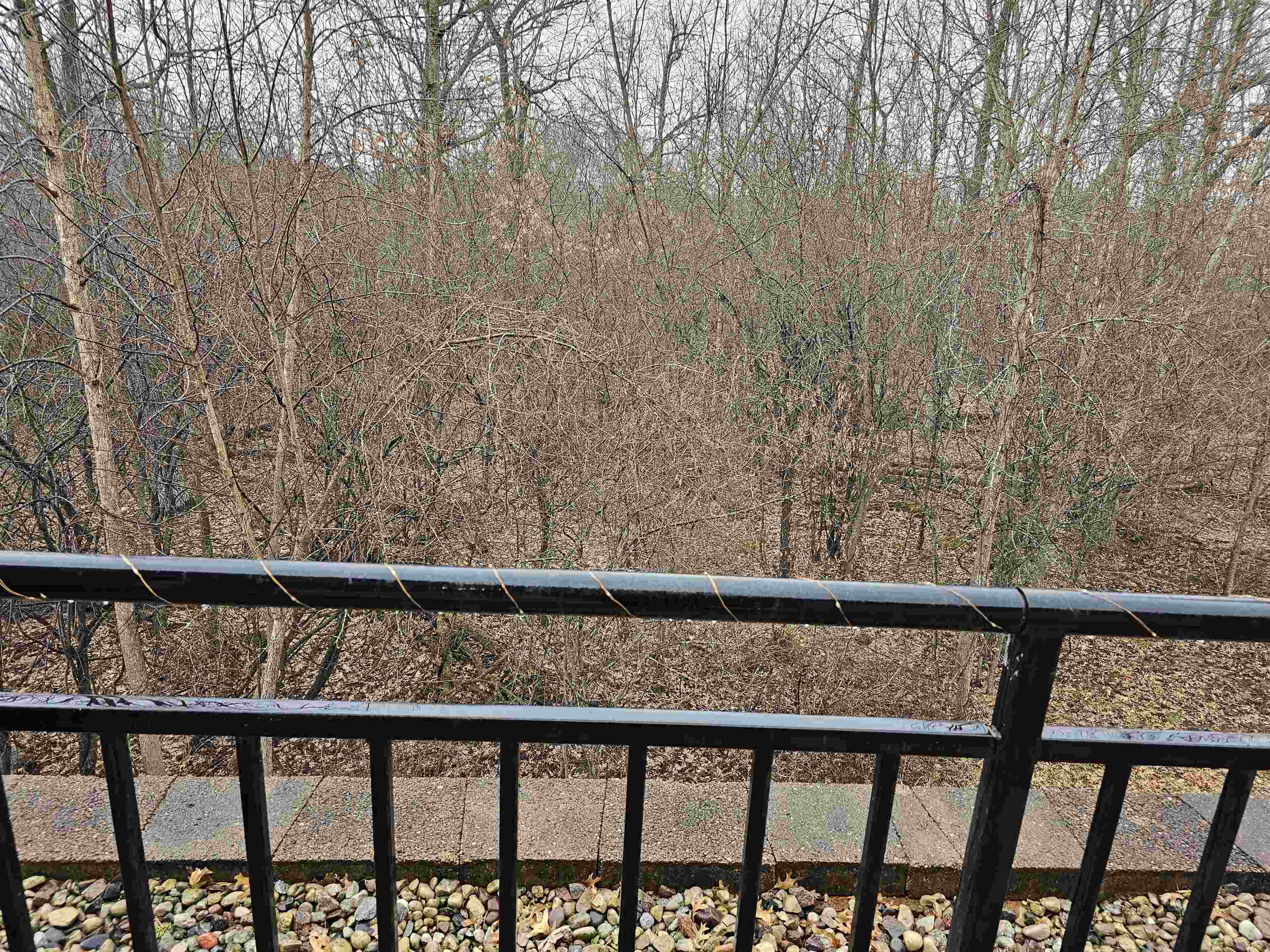 231 A Country Side Court Waupaca, WI 54981 - Photo 20 of 22