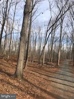 6645 Beach Road Warrenton, VA 20187 - Photo 1 of 12 Land