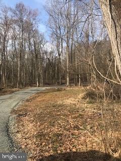 6645 Beach Road Warrenton, VA 20187 - Photo 11 of 12 Land