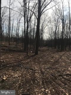 6645 Beach Road Warrenton, VA 20187 - Photo 3 of 12 Land