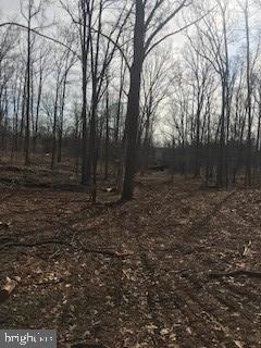6645 Beach Road Warrenton, VA 20187 - Photo 4 of 12 Land