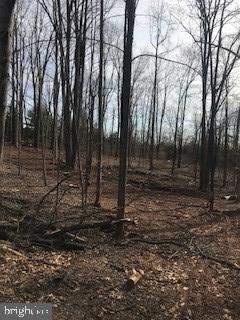 6645 Beach Road Warrenton, VA 20187 - Photo 5 of 12 Land