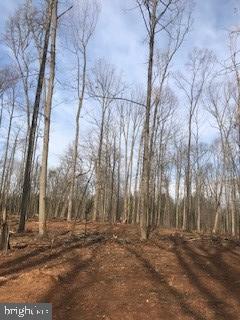 6645 Beach Road Warrenton, VA 20187 - Photo 6 of 12 Land