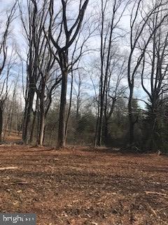 6645 Beach Road Warrenton, VA 20187 - Photo 7 of 12 Land