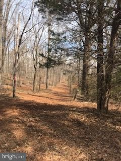 6645 Beach Road Warrenton, VA 20187 - Photo 8 of 12 Land