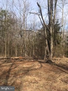 6645 Beach Road Warrenton, VA 20187 - Photo 9 of 12 Land