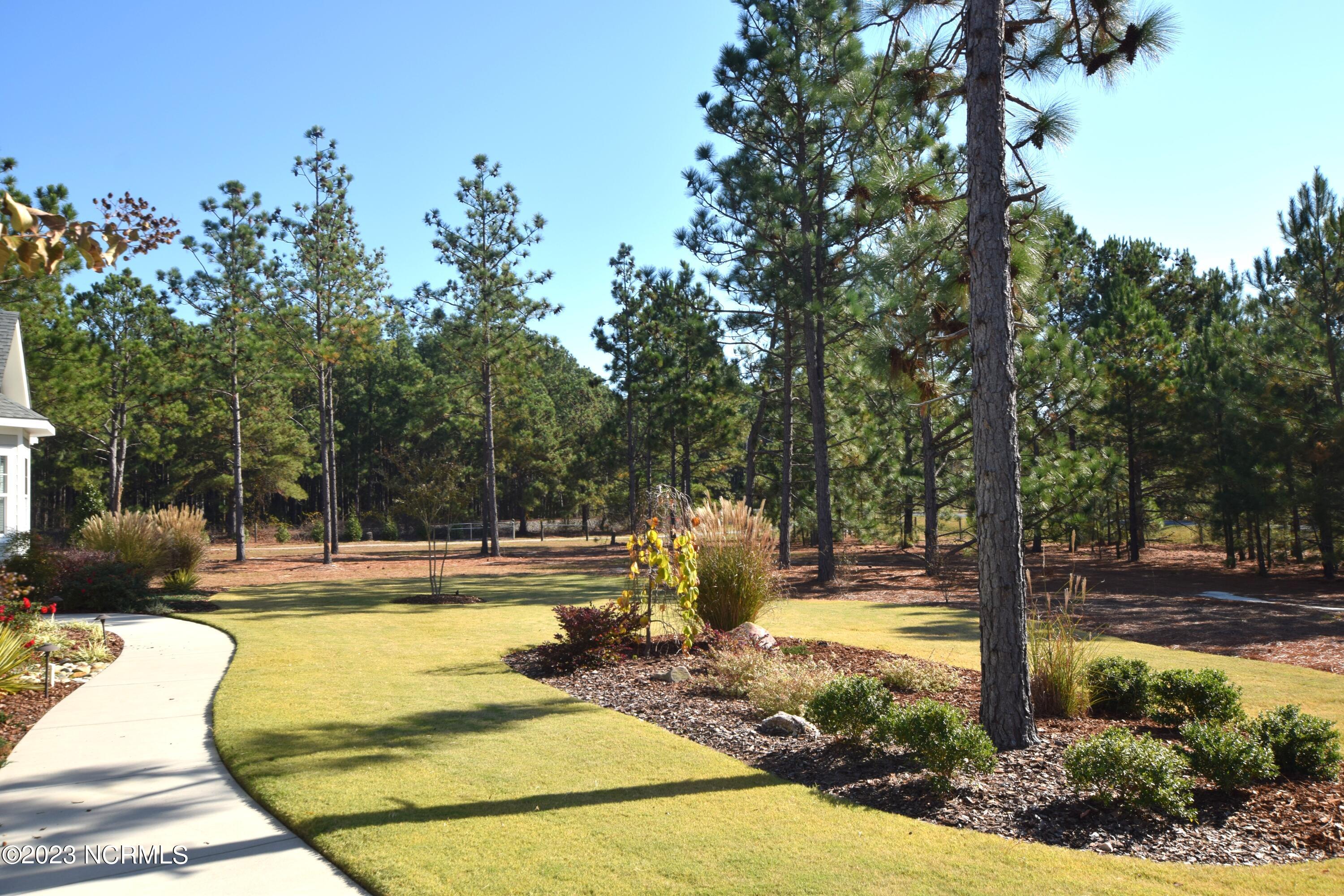 200 Lucas Road West End, NC 27376 - Photo 79 of 108 Beautiful Landscaping