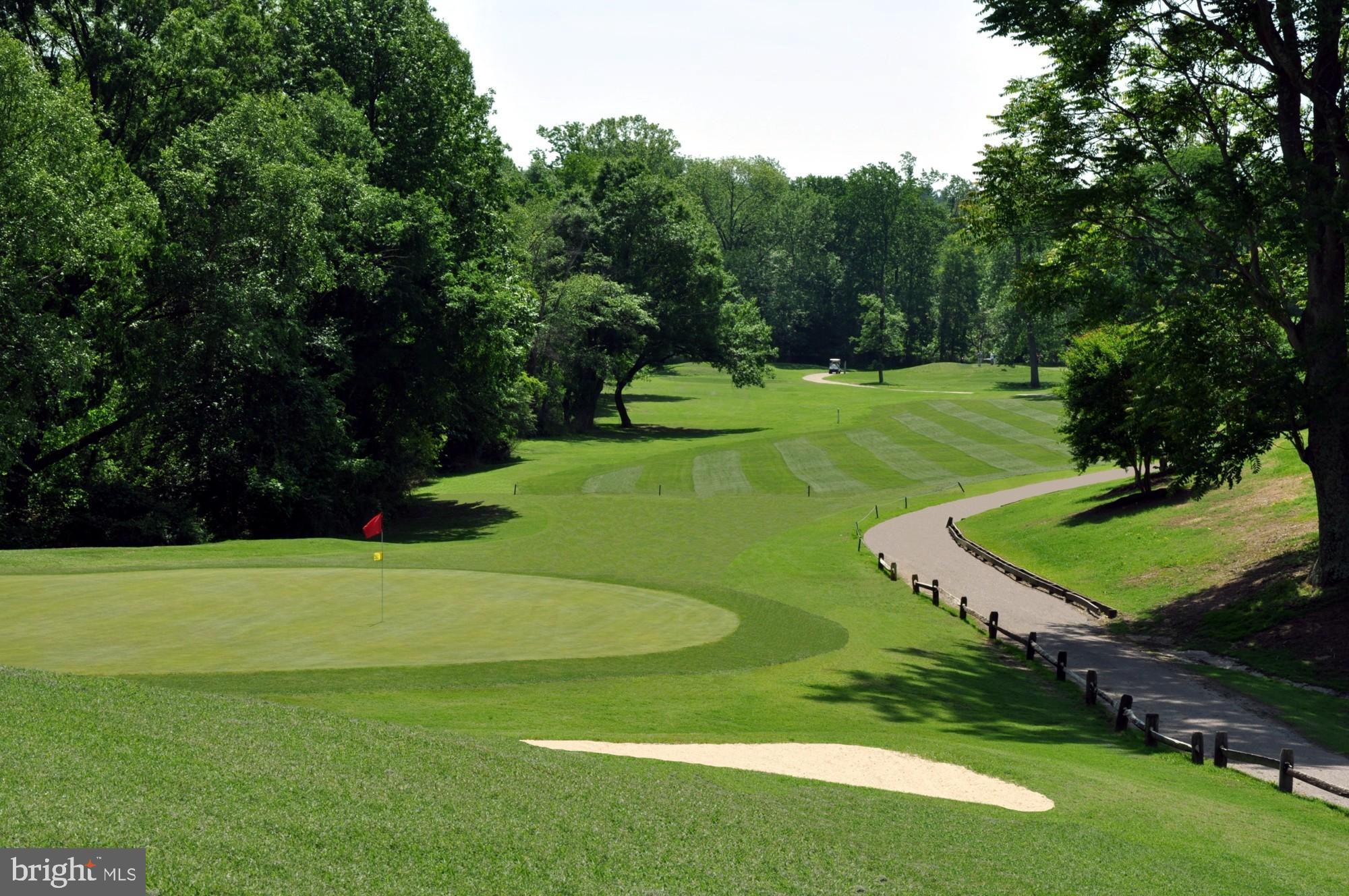 43605 Ryder Cup Square Ashburn, VA 20147 - Photo 37 of 48 a view of a golf course with a park