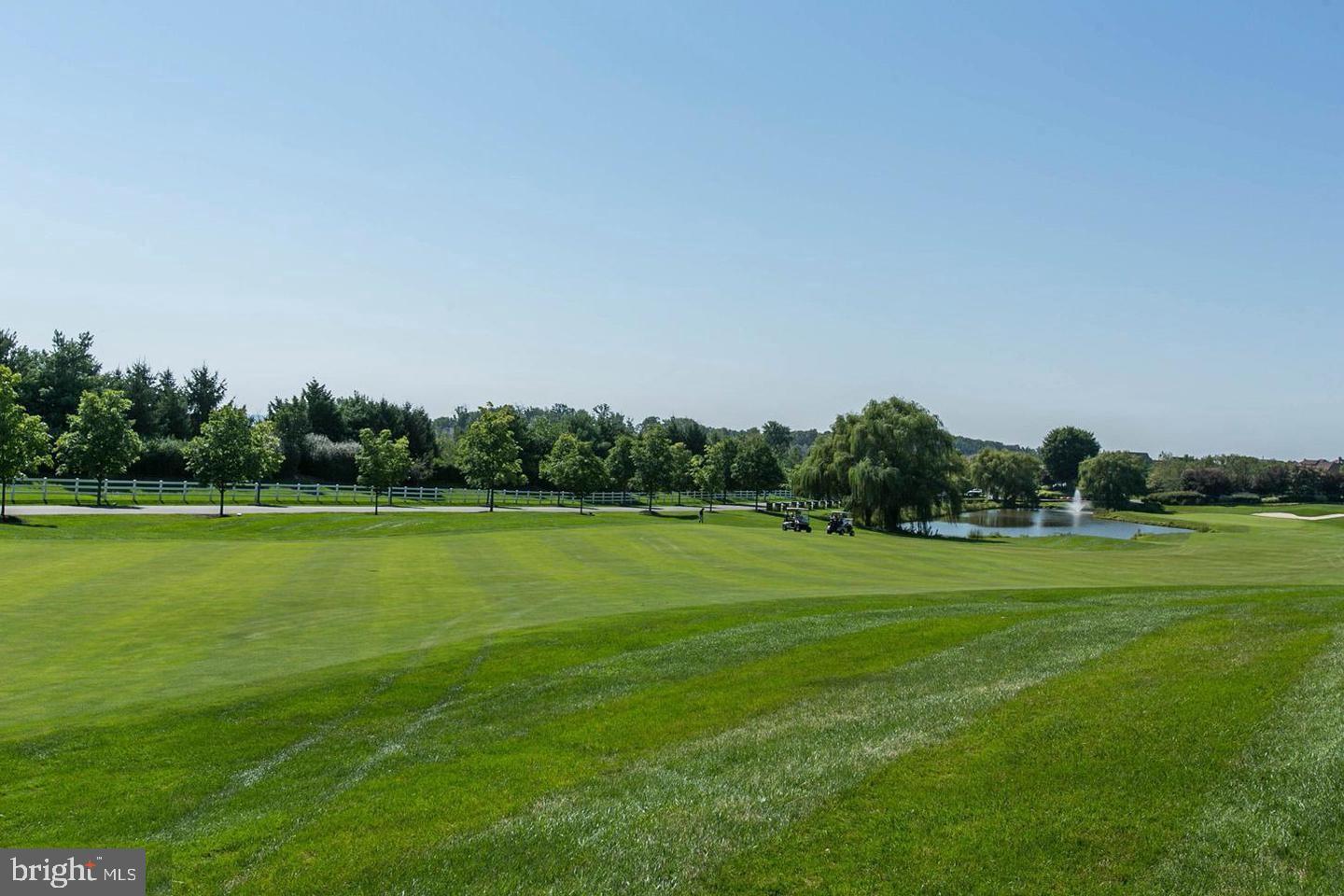 43605 Ryder Cup Square Ashburn, VA 20147 - Photo 40 of 48 a view of a big yard with a large trees