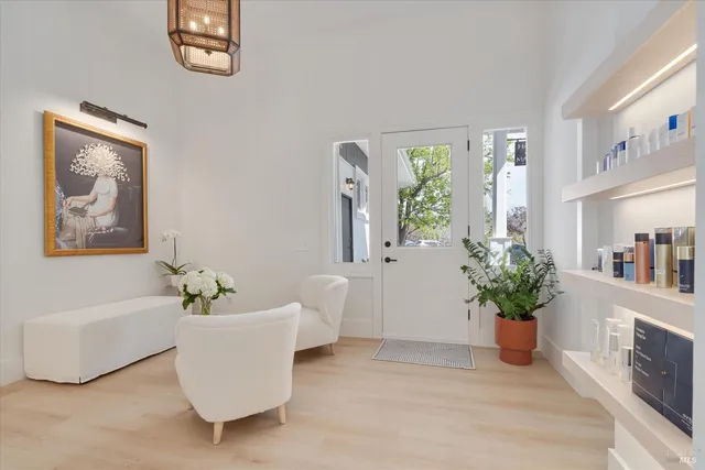 a living room with furniture and a potted plant