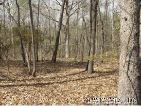 26 River Ridge Parkway, Unit 26 Rutherfordton, NC 28139 - Photo 11 of 12 a backyard of a house with lots of green space