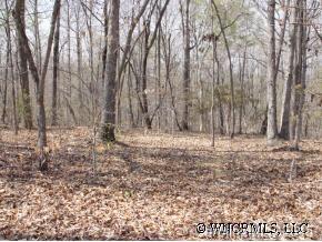 26 River Ridge Parkway, Unit 26 Rutherfordton, NC 28139 - Photo 8 of 12 a view of outdoor space with wooden fence