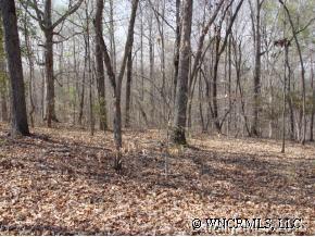 26 River Ridge Parkway, Unit 26 Rutherfordton, NC 28139 - Photo 9 of 12 a view of house with trees in the background