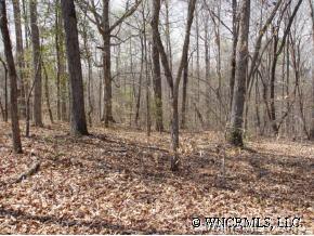 26 River Ridge Parkway, Unit 26 Rutherfordton, NC 28139 - Photo 10 of 12 a backyard of a house with lots of green space