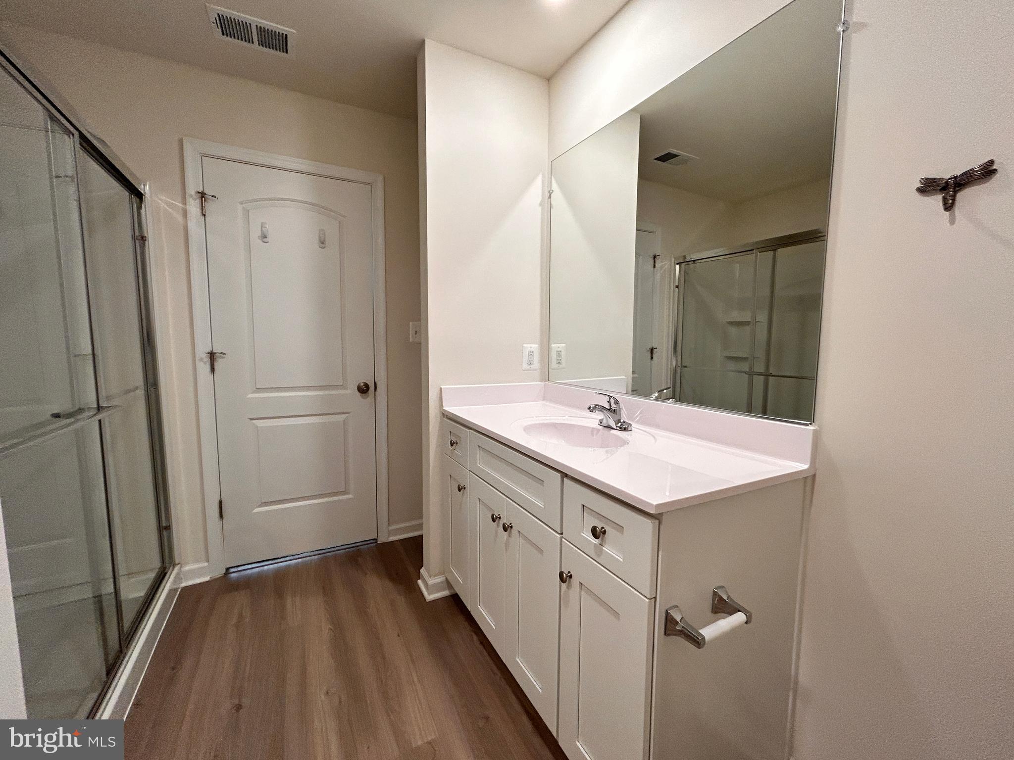 90 Rappahannock Run Falling Waters, WV 25419 - Photo 13 of 48 a bathroom with a sink a mirror and a shower