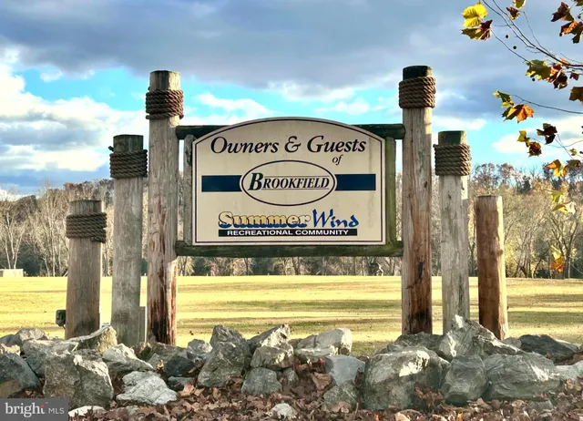 a view of a yard with large trees