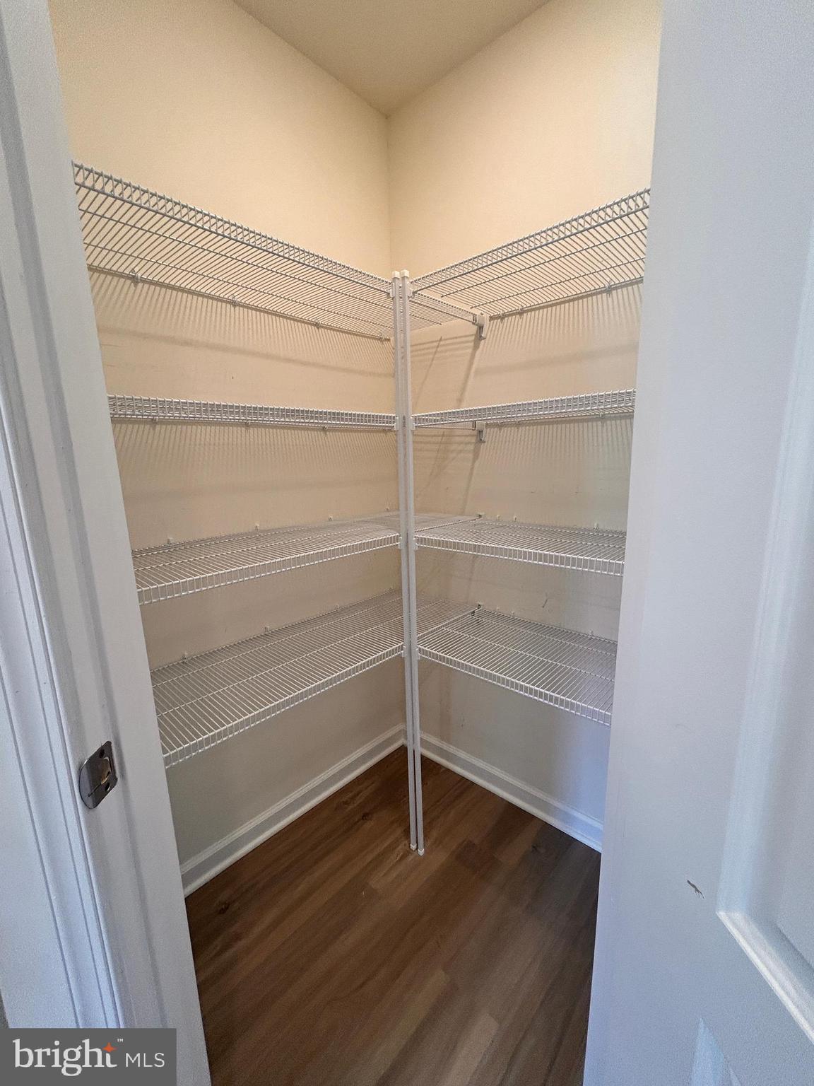 90 Rappahannock Run Falling Waters, WV 25419 - Photo 8 of 48 a view of walk in closet with empty racks