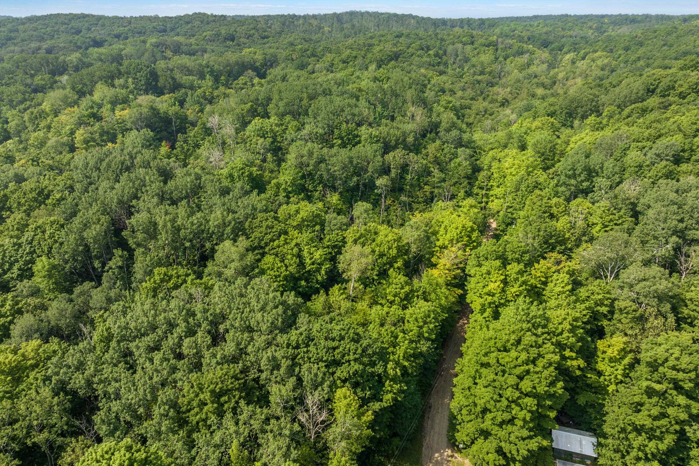 0 Six 6 Mile Lake Road Ellsworth, MI 49729 - Photo 3 of 11