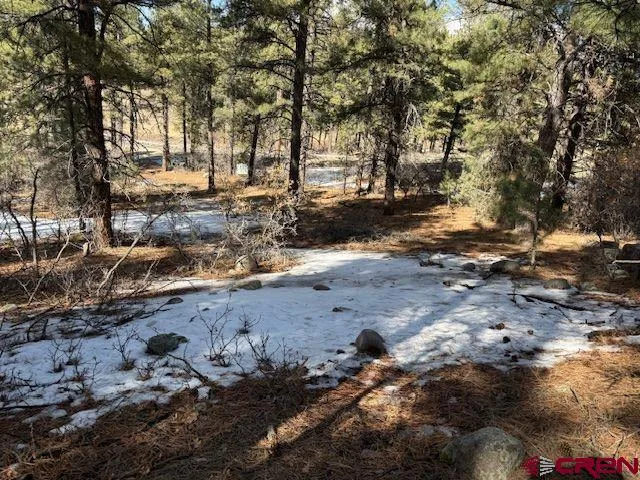 a view of dirt yard with a large tree