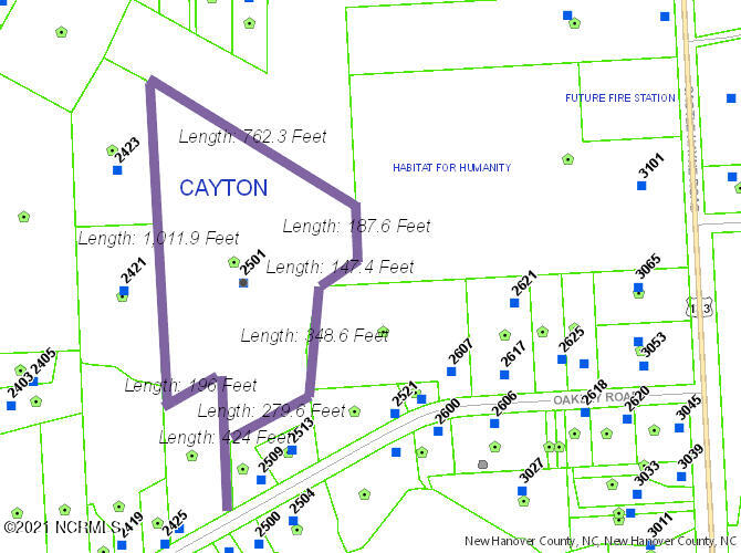 2501 Oakley Road Castle Hayne, NC 28429 - Photo 2 of 9 Cayton tax with measurements