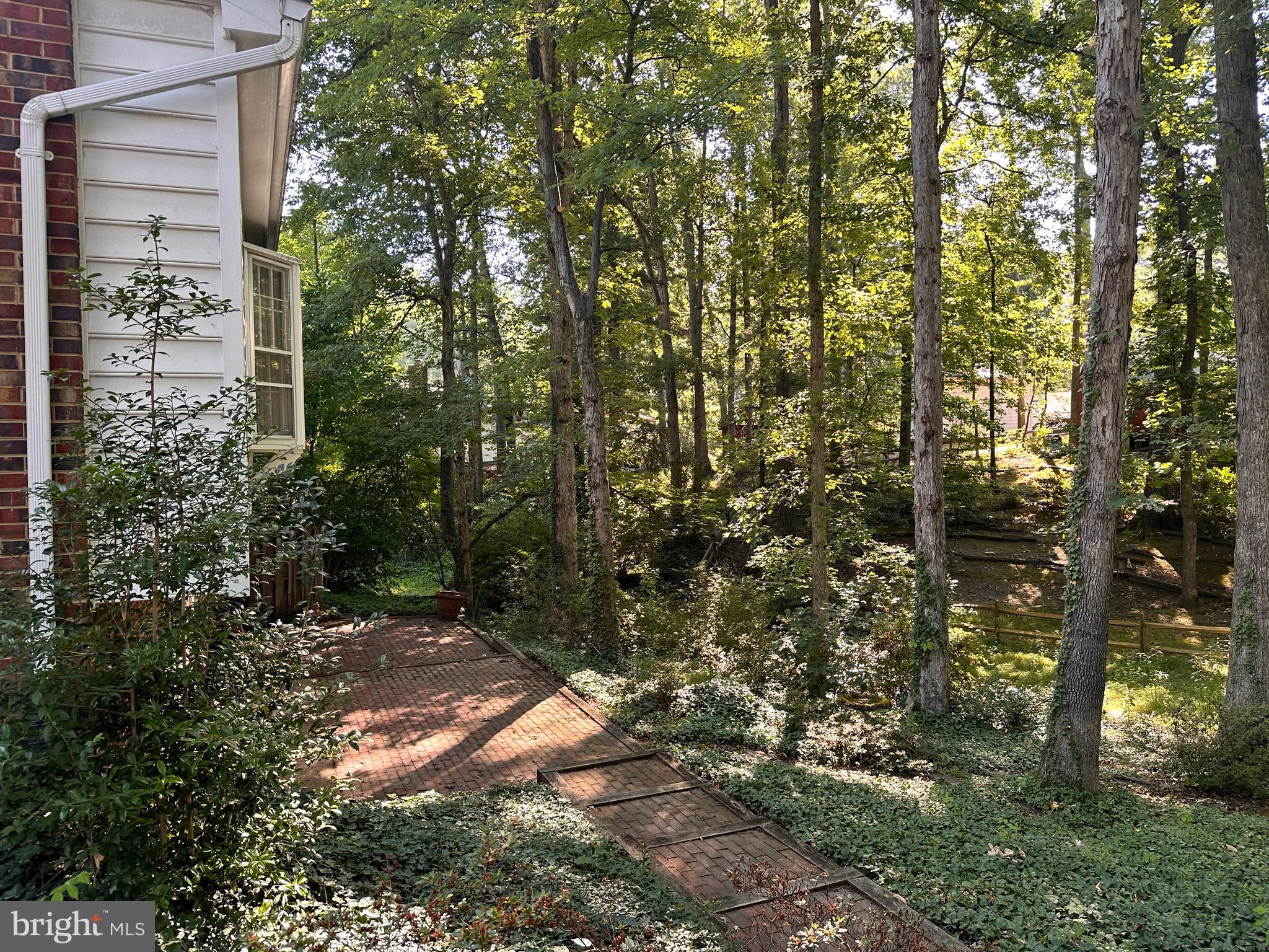 6143 Roxbury Avenue Springfield, VA 22152 - Photo 5 of 25