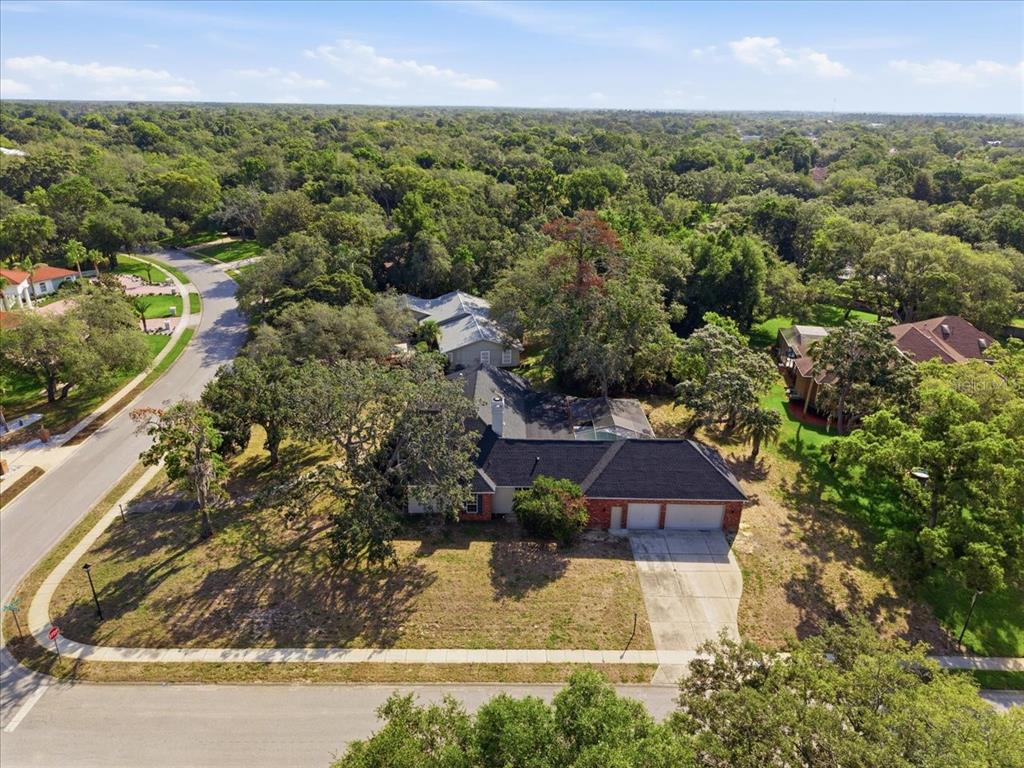 4558 Lake In The Woods Drive Spring Hill, FL 34607 - Photo 4 of 55