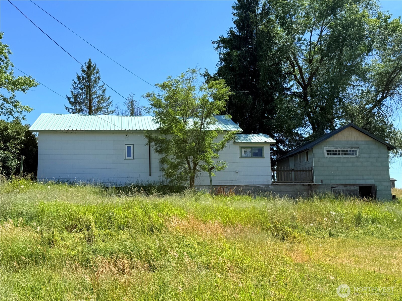 150 Southwest South 1st Creston, WA 99117 - Photo 22 of 22 a backyard of a house with plants and large tree